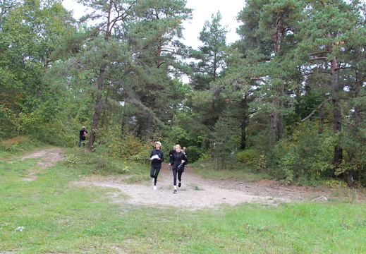 IMG 4964