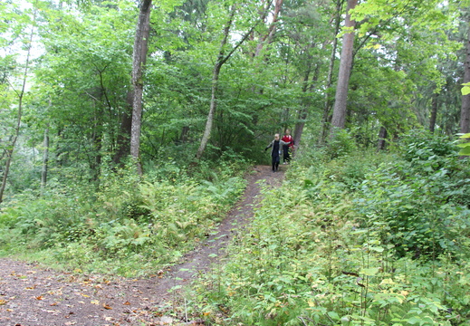 IMG 4974