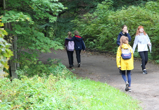 IMG 4993