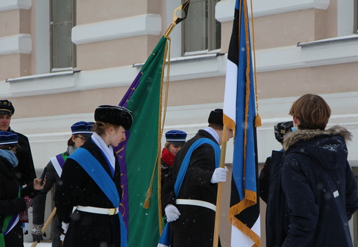 IMG 7332