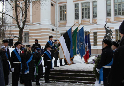 IMG 7354