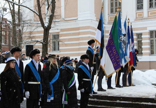 IMG 7352 2