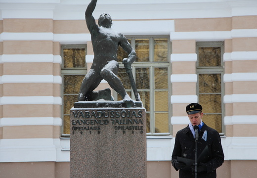 IMG 7368