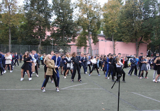 IMG 0594