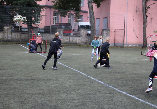 IMG 9976