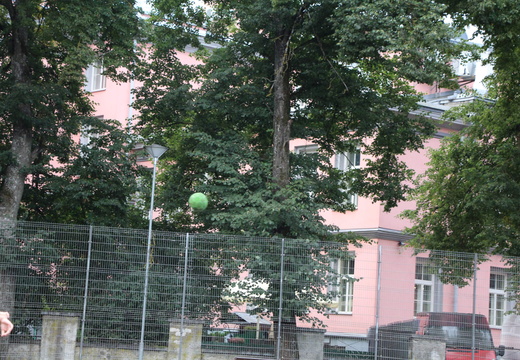 IMG 9994