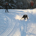 IMG 1278