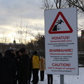 IMG 8528