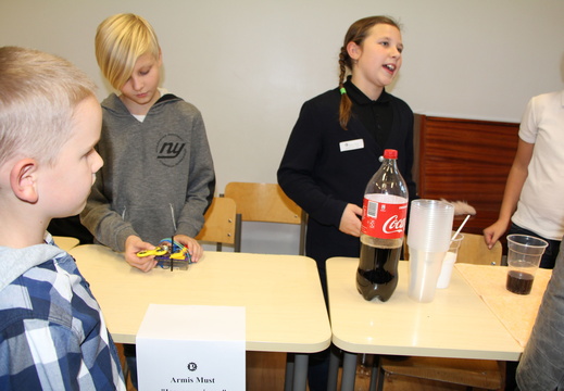 IMG 7584