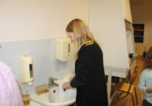 IMG 7603
