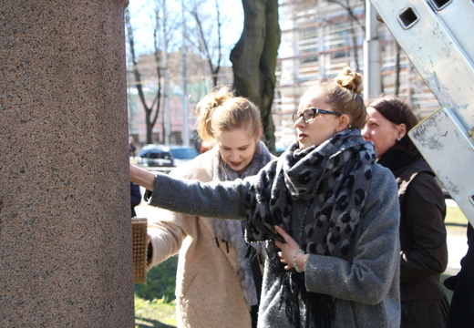 IMG 4516