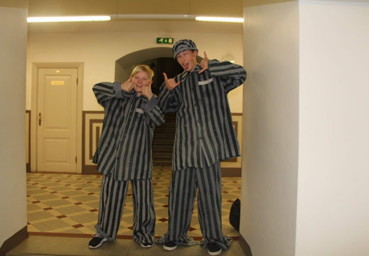 IMG 7663