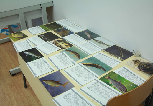IMG 7749