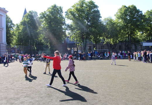 IMG 7809