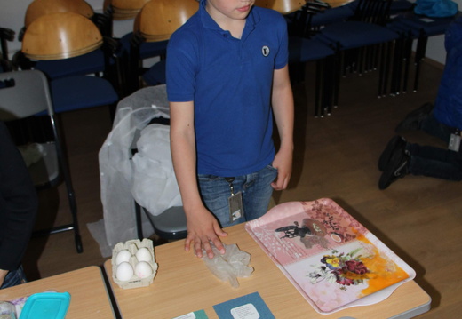 IMG 4425