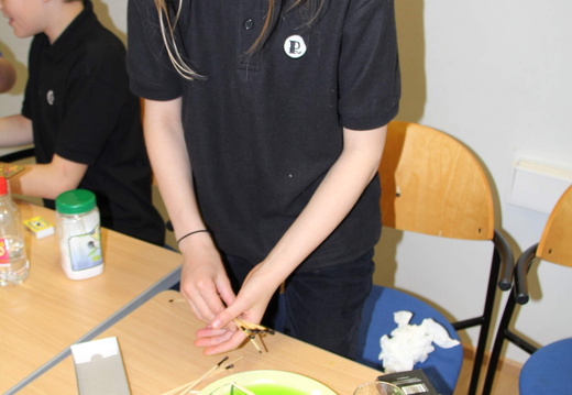 IMG 4448