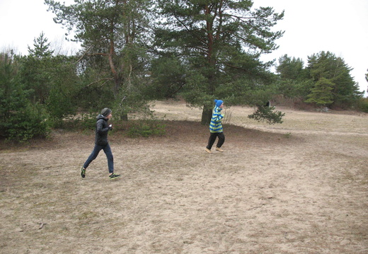 IMG 6903