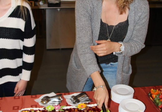 IMG 4281