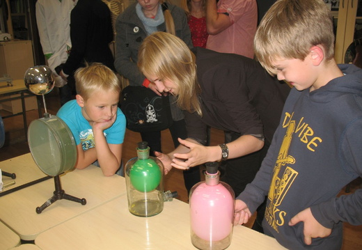 IMG 4527