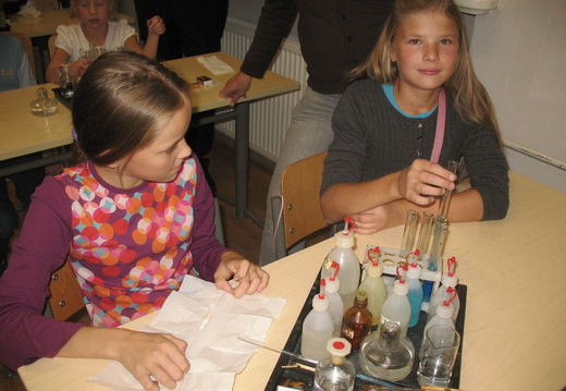 IMG 4560