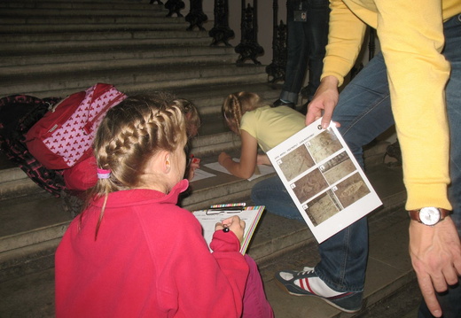 IMG 4572
