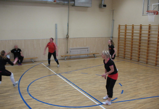 IMG 5508