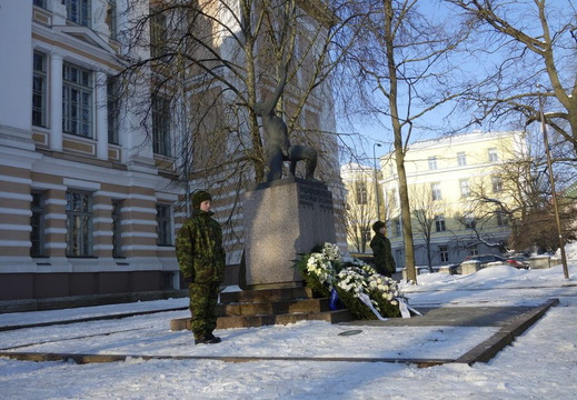 Noorkotkaste auvahtkond 24.02