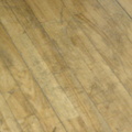 P4230437