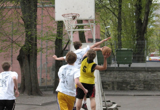 Reaali Karikas 2011
