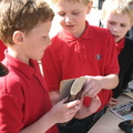 IMG 4136