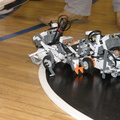 P3183228