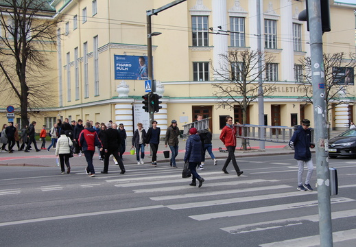IMG 9787