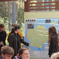 TRK08747